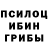 Галлюциногенные грибы Psilocybe rasul gasbanov