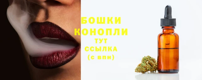 эйфоретик Михайловск