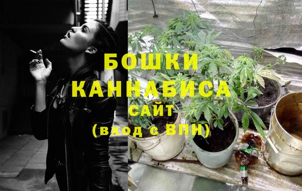 ПСИЛОЦИБИНОВЫЕ ГРИБЫ Михайловка