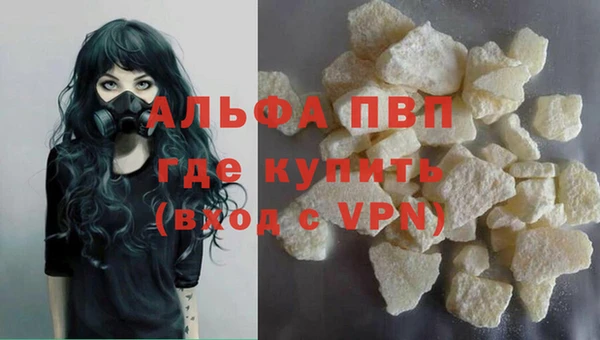 ПСИЛОЦИБИНОВЫЕ ГРИБЫ Михайловка