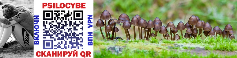 маркетплейс клад  Козьмодемьянск  Галлюциногенные грибы Cubensis 